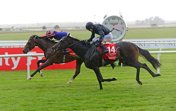 Santiago (left) holding Tiger Moth by a head in Saturday's Irish Derby