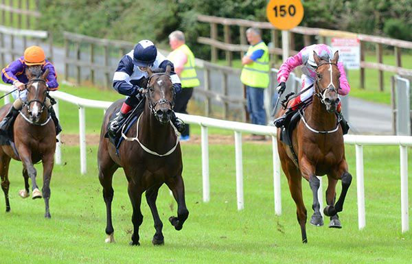 Aloha Star and Andrew Slattery (right) battle it out with Logo Hunter