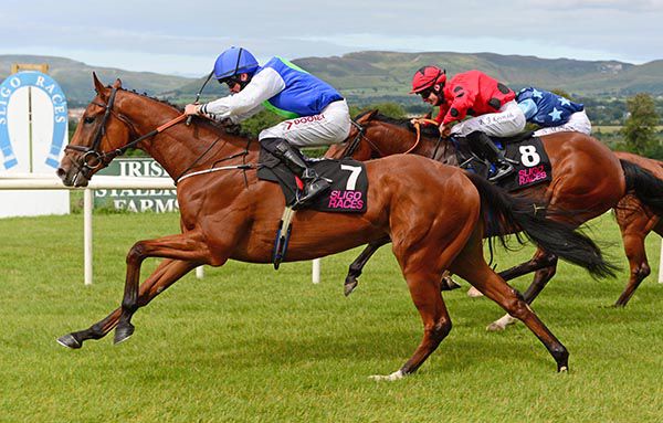 Kourvoisier wins under Tom Madden