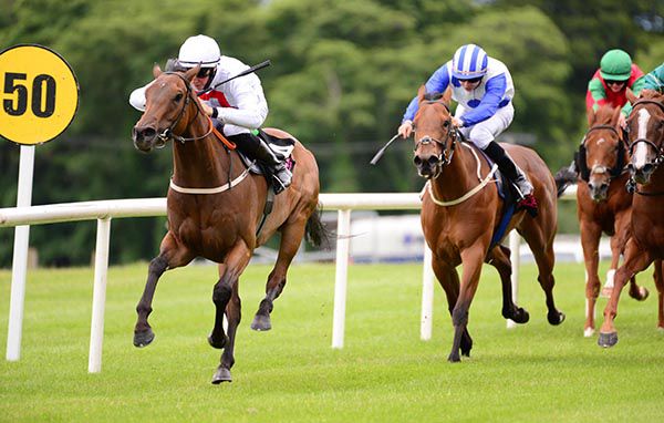 I Know I Can (left) winning under Ross Coakley