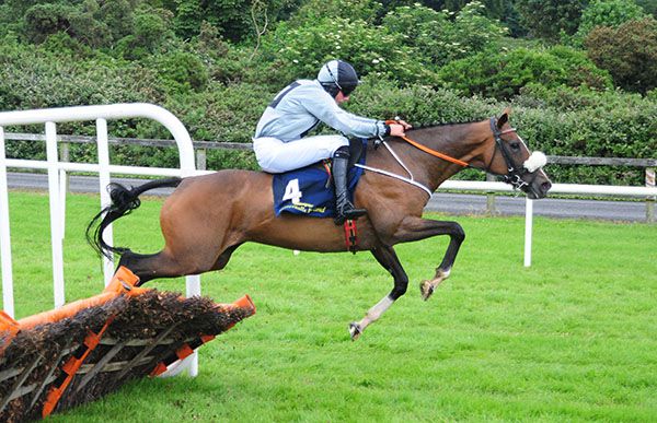 Cornakill Rose jumps the last under Eoin Walsh