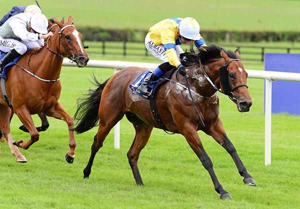 Star Of Cashel is ridden out by Chris Hayes
