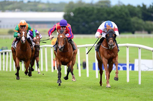 Meaningful Vote (right) beating Fame And Acclaim