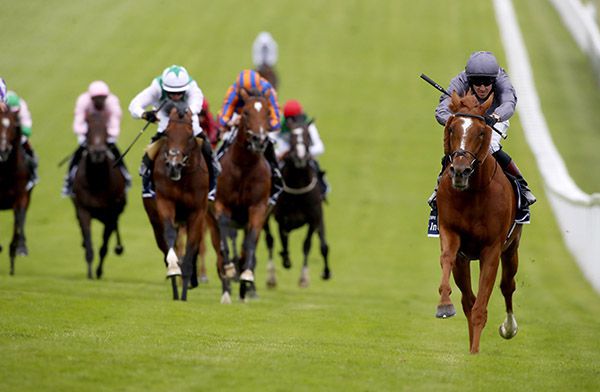 Serpentine leads home his rivals under Emmet McNamara