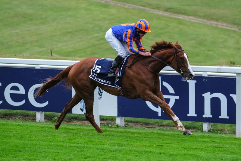 Love, ante-post favourite for the King George VI and Queen Elizabeth Stakes