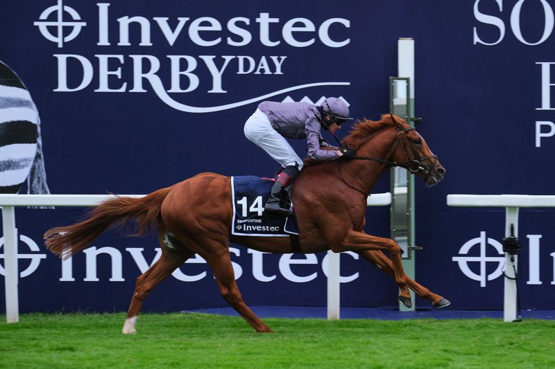 Serpentine and Emmet McNamara