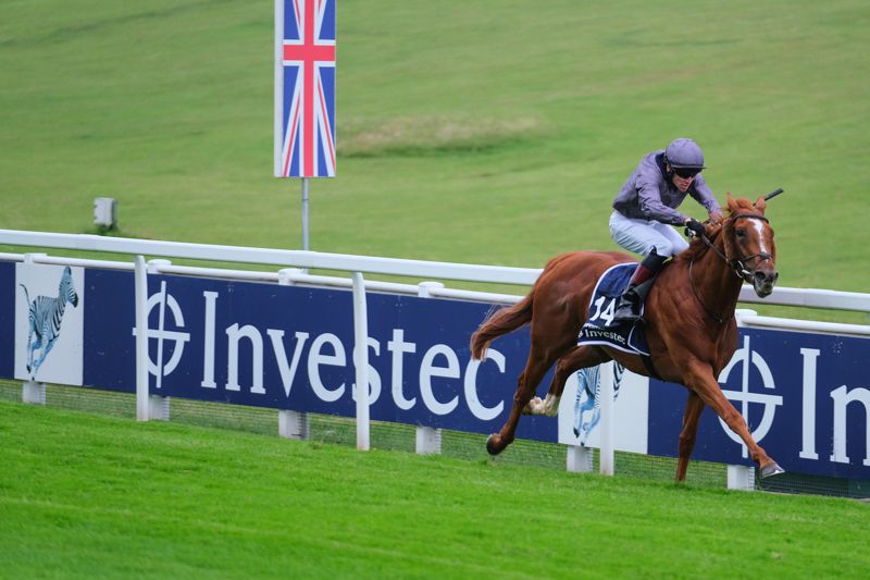                   Epsom Derby winner Serpentine