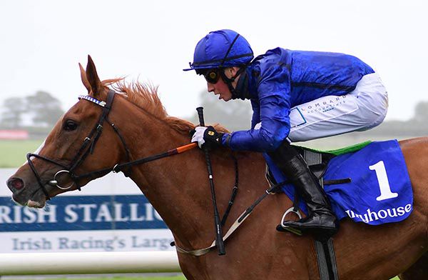 Afterglow and Ross Coakley were in the number one spot at Fairyhouse