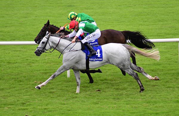 Springbank (nearside) just gets the better of Charlie Bassett