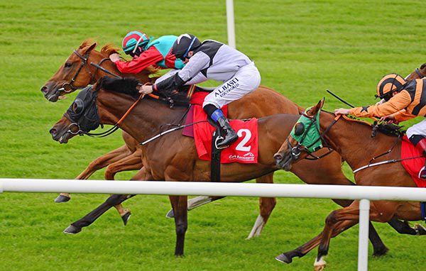 Starlite Dancer (2) and Chris Hayes