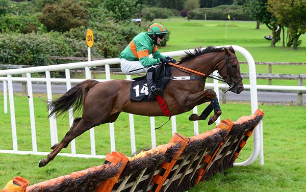 Elegant Lass and Darragh O'Keeffe jump the last 