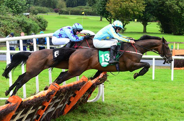 Abraham leads Roi De Dubai over the last