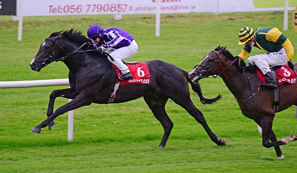 Southern Cape winning at Gowran