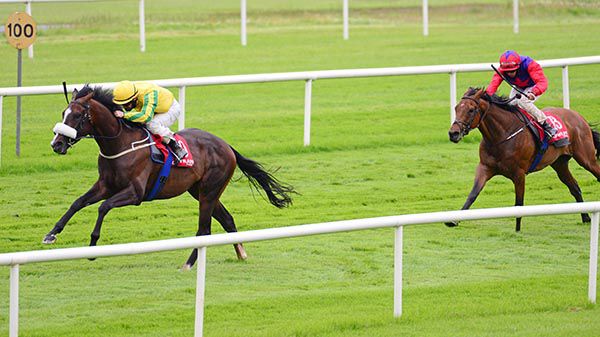 Mr Wendell and Gary Carroll