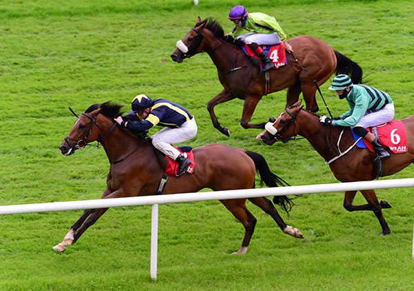 Hisnameis Mrdevitt and Gavin Ryan