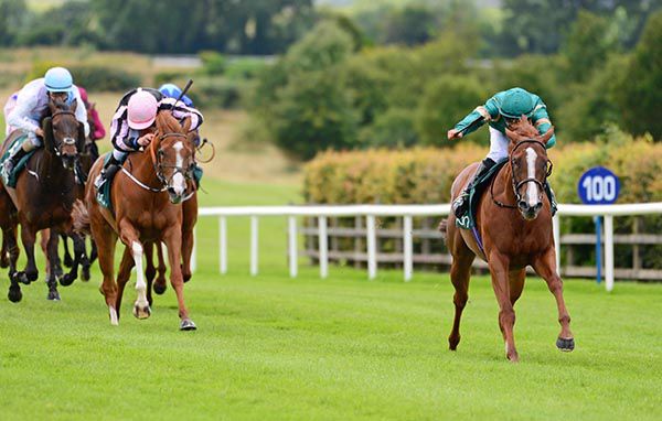       Laurel Wreath is clear under Rory Cleary