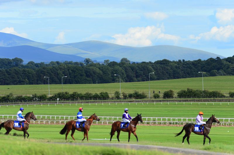 The Curragh