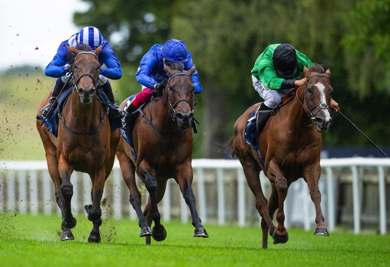 Nazeef (left) winning the Falmouth Stakes at Newmarket
