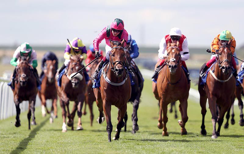 Oxted (centre) leads home Sceptical (far right)