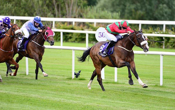 Tandem forges clear under Finian Maguire