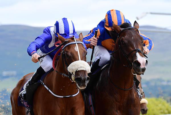 Mahaaseel and Gary Halpin (left) win from Hyde Park Barracks and Michael Hussey