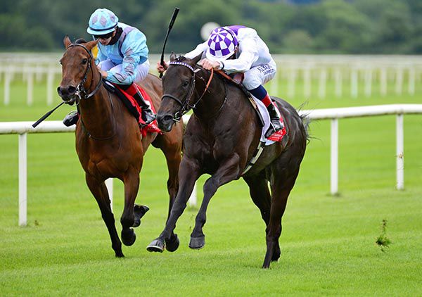 Eastern Voice (Kevin Manning, nearside) beat Dense Star (Mikey Sheehy)