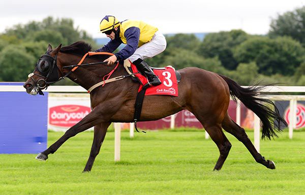 Nebo and Wayne Lordan