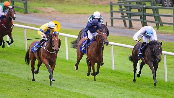 Star Of Cashel (left, yellow)