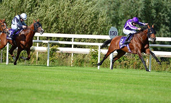 Delphi and Wayne Lordan win the Nijinsky Stakes  from Numen