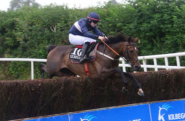 Turbo impresses in Kilbeggan
