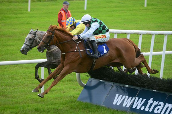Elegant Dan (Sean Flanagan, nearside) beat Pat Coyne (Denis O'Regan)