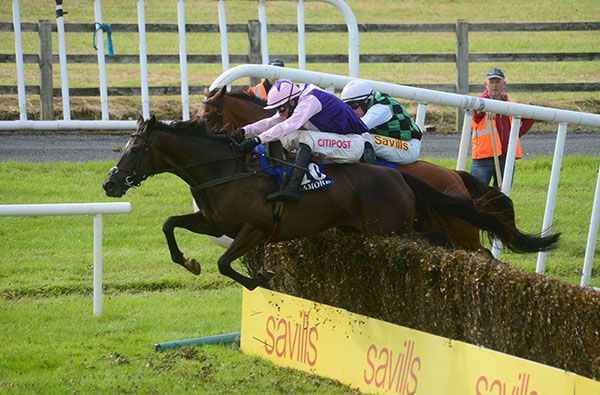 Ballybrowney Walk (nearest) jumps the last alongside My Oakclahome