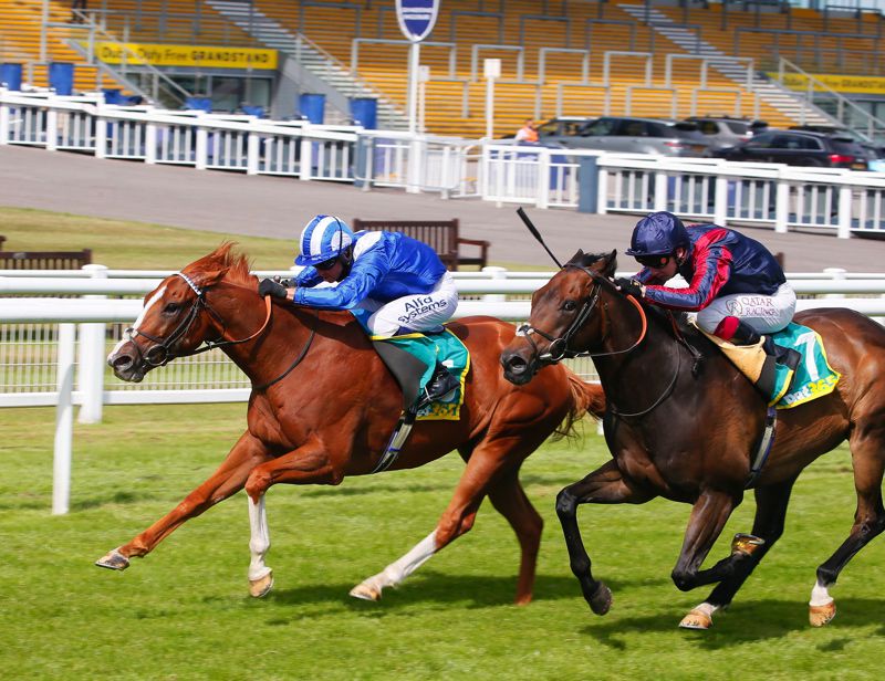 Tabdeed (left)