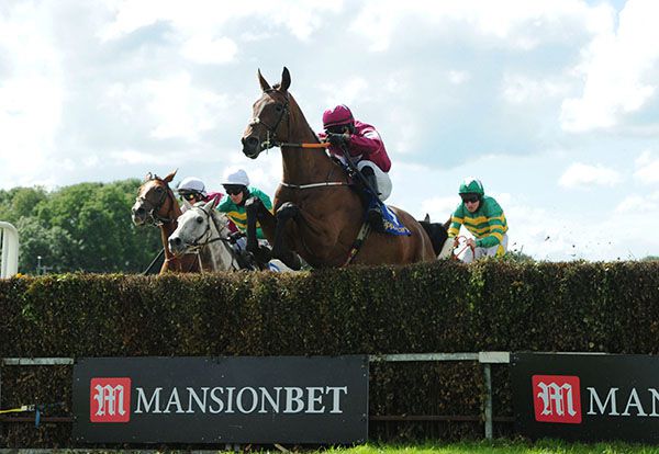 Mind's Eye and Hugh Morgan jump the last to win the MansionBet Handicap Chase