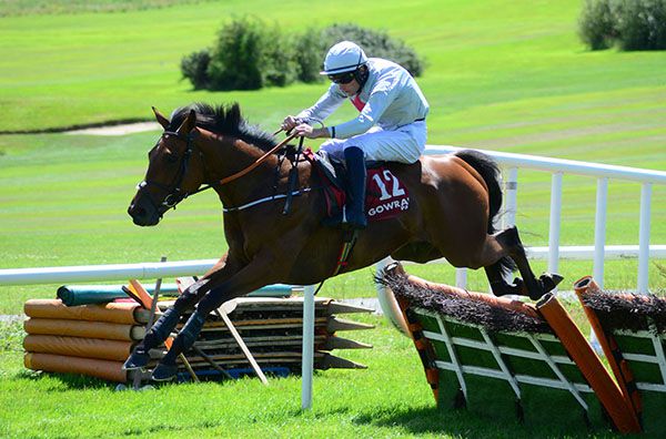 Swelltime and David Mullins clear the last