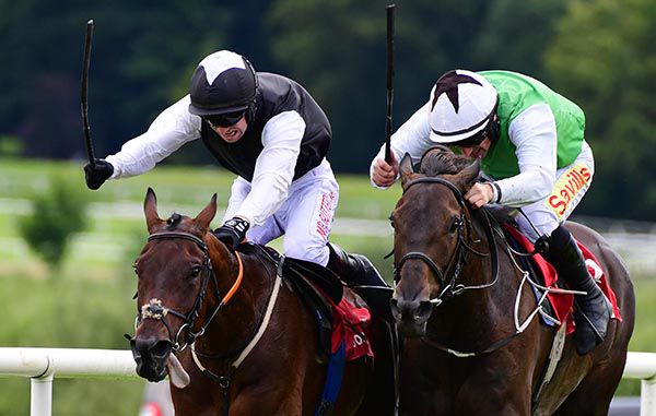 Flooring Porter (left) battles Cusp Of Carabelli