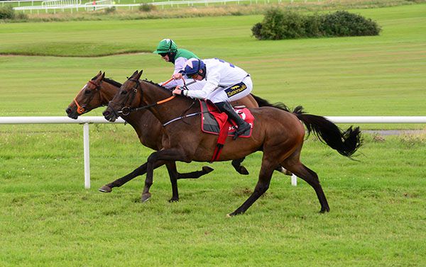 Jimmy Jimmy fights it out with Florey Spud (inner)