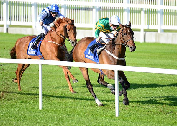 Western Boy and Gavin Ryan beat Happy Company