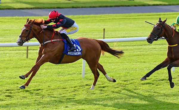 Shumaker and Joey Sheridan