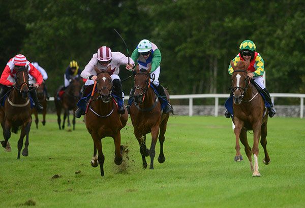 Rambling Rose and Patrick Mullins (right) win the bumper from The Sliding Rock (second left)