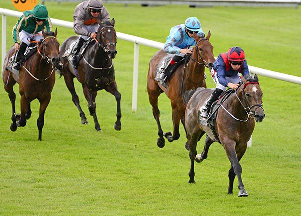 Steel Bull and Leigh Roche win the Foran Equine Irish EBF Auction Maiden  for owner/trainer Michael O'Callaghan