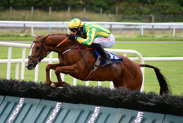 Mystery Stowaway and Danny Mullins pictured on their way to victory