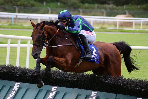 Gunfire Reef and Danny Mullins pictured on their way to victory