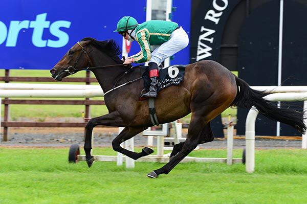          Measure Of Magic and Shane Kelly 