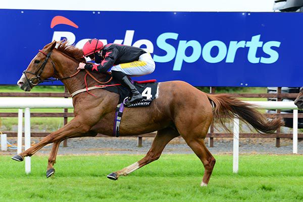 Shumaker wins under Joey Sheridan