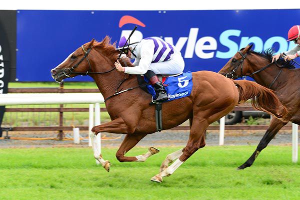 Red Kelly hits the line in front of Sunchart