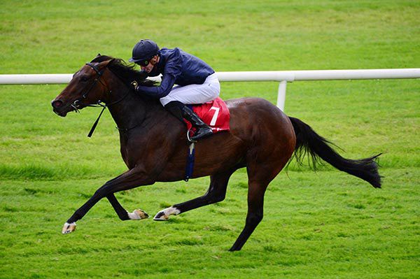              Never Forgotten and Shane Crosse