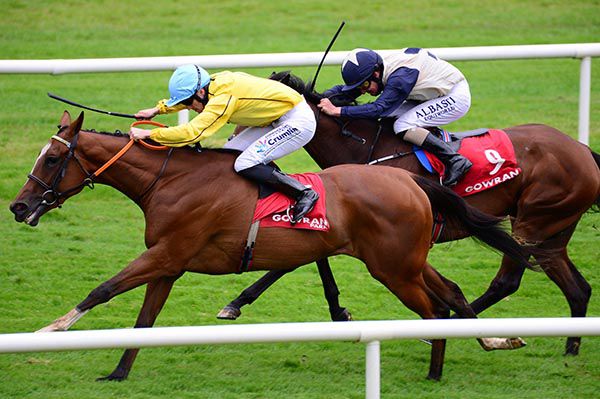 Epona Plays and Billy Lee 