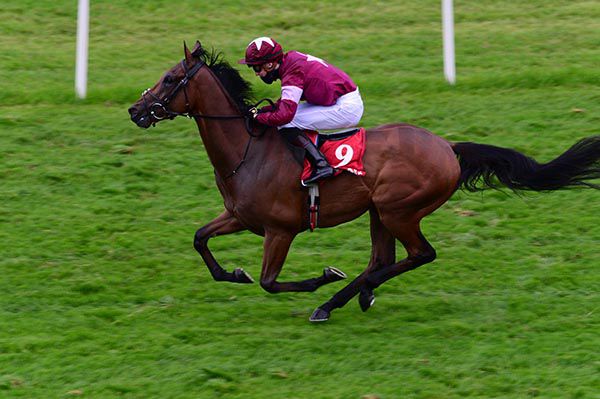 Pugin and Shane Crosse