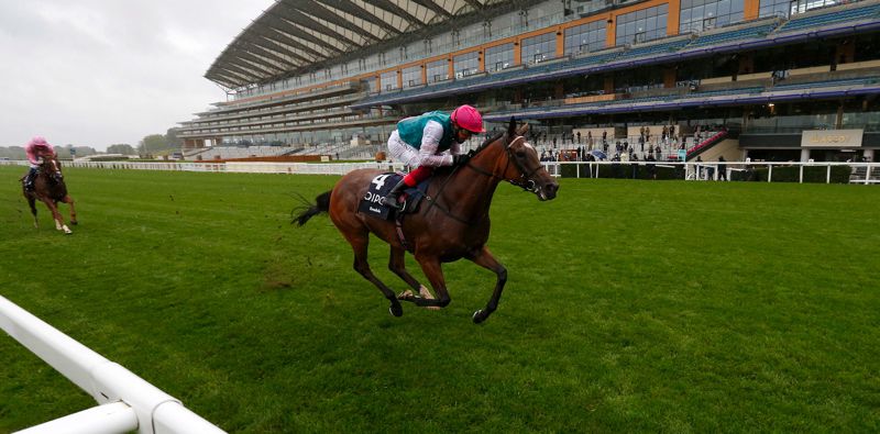 Enable